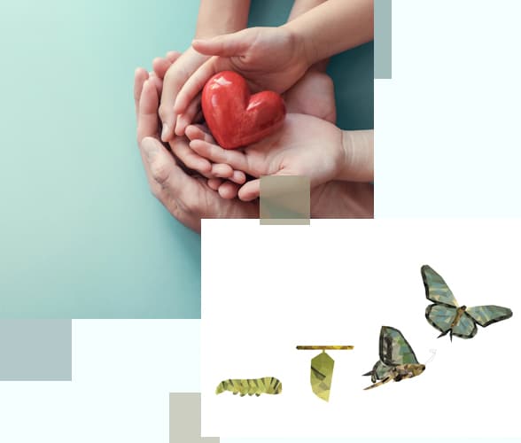 Comunidad Chrysallís